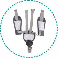 5-точечный ремень