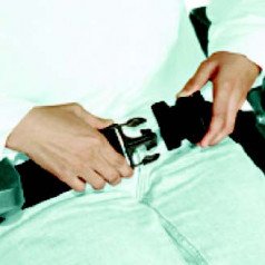 2-точечный ремень