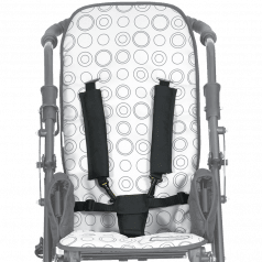 5-точечный ремень