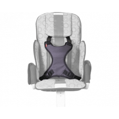 Ремень-бабочка