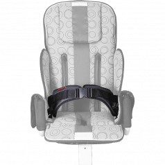 4-точечный ремень