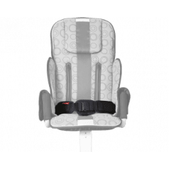 2-точечный ремень