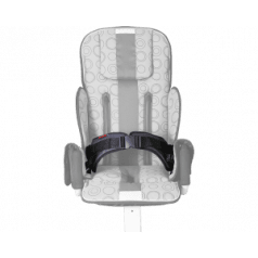 4-точечный ремень