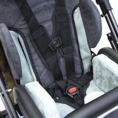 5-точечный ремень