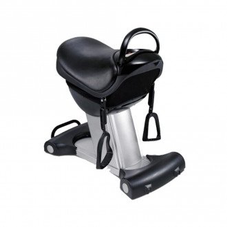 Иппотренажёр Takasima S-Rider SKY 007 в 