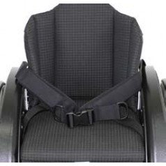 4-точечный ремень